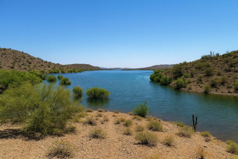 Best Shower Remodeling pros in New River, AZ